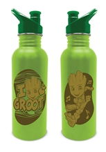 Nerezová outdoor láhev na pití Marvel Guardians Of The Galaxy Strážci Galaxie: Groot (objem 700 ml)