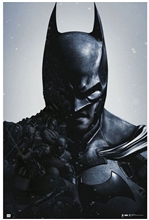 Plakát DC Comics: Batman Arkham Origins (61 x 91,5 cm) 150g