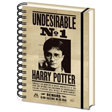 Zápisník Harry Potter - Sirius & Harry 3D
