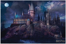 Plakát Harry Potter: Hogrwarts (61 x 91,5 cm)