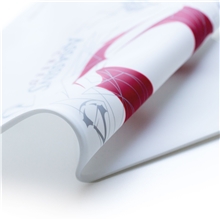 Assassins Creed - Soft Silicone Cover (PS5)