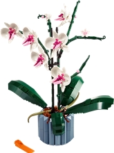 LEGO® Icons 10311 Orchid