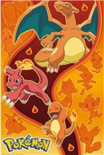 Pokémon - Fire Type Maxi Poster