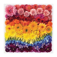 Galison Puzzle Rainbow Flowers 500 pieces