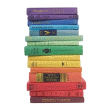 Galison Puzzle set of 2 pcs Queen of the Stacks 650 pieces