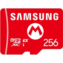 MicroSD Express card 256 GB Samsung (SWITCH2)