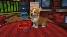 Little Friends: Puppy Island (Code in a Box) (SWITCH)