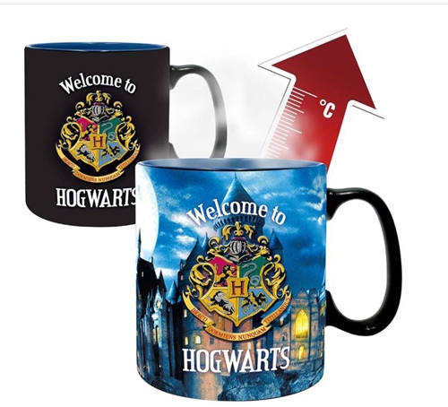 Abysse: Harry Potter - Letter Heat Change Mug