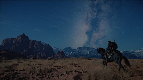 Crimson Desert - Collectors Edition (PS5)