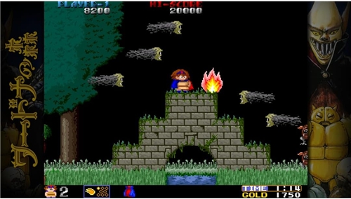 Toaplan Arcade Garage: Flying Fire Shark (SWITCH)