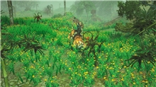 Sacred 2 Remaster (SWITCH)