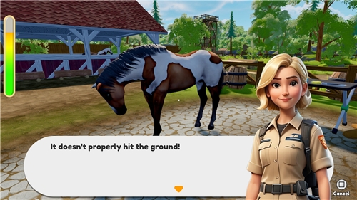 Sophias Animal Clinic (PS5)